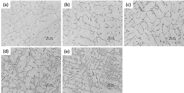 Image Processing Characterization Of Microstructures Of Al Si