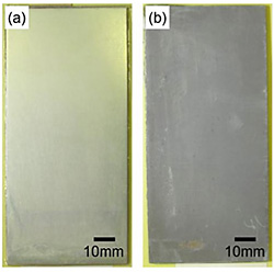 46.Corrosion of Calcium Phosphate Coated AZ31 Magnesium Alloy under a ...